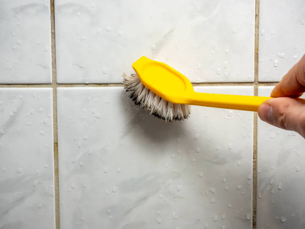 Best Certified Mold Removal  in Skyline View, PA
