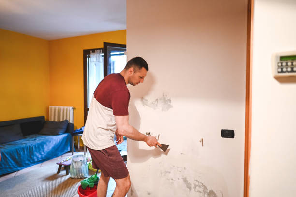Home Mold Removal in Skyline View, PA